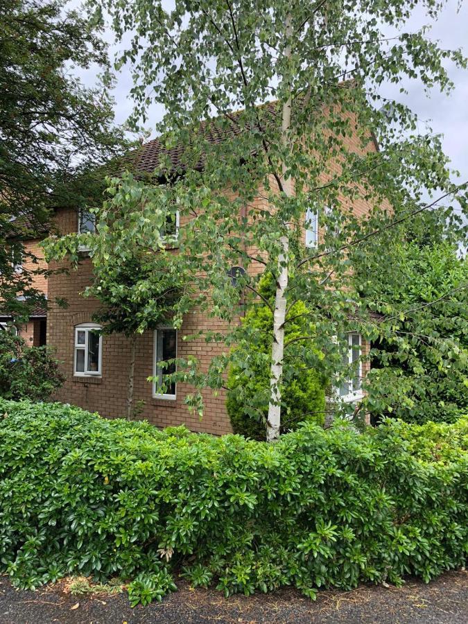 Rowan Tree Villa Aylesbury  Exterior photo